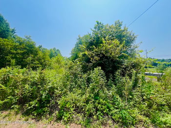 3433 Ky 79, Falls Of Rough, KY 40119