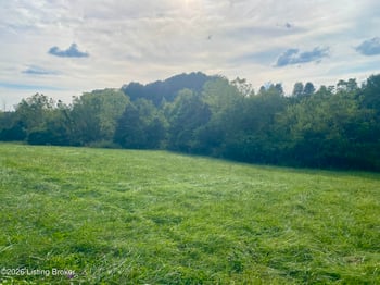 345 Poplar Flat Rd, Bardstown, KY 40004