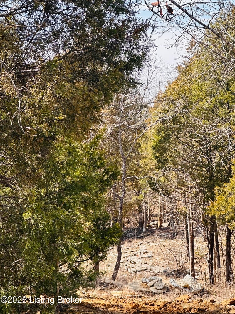 350 Cave Creek Rd, Falls Of Rough, KY 40119