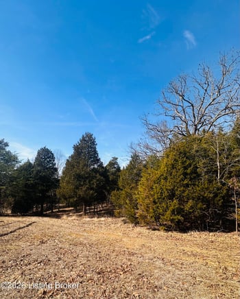 350 Cave Creek Rd, Falls Of Rough, KY 40119