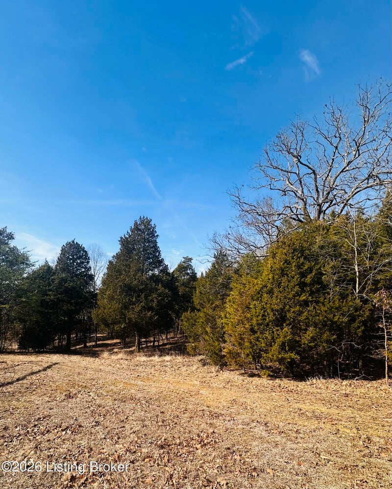 350 Cave Creek Rd, Falls Of Rough, KY 40119