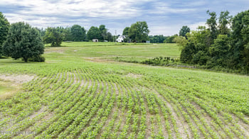 3604 Mount Zion Rd, Brownsville, KY 42210