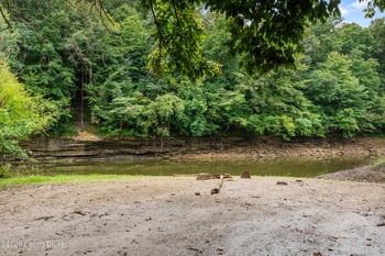 368 Adkins Camp Loop, Hudson, KY 40145