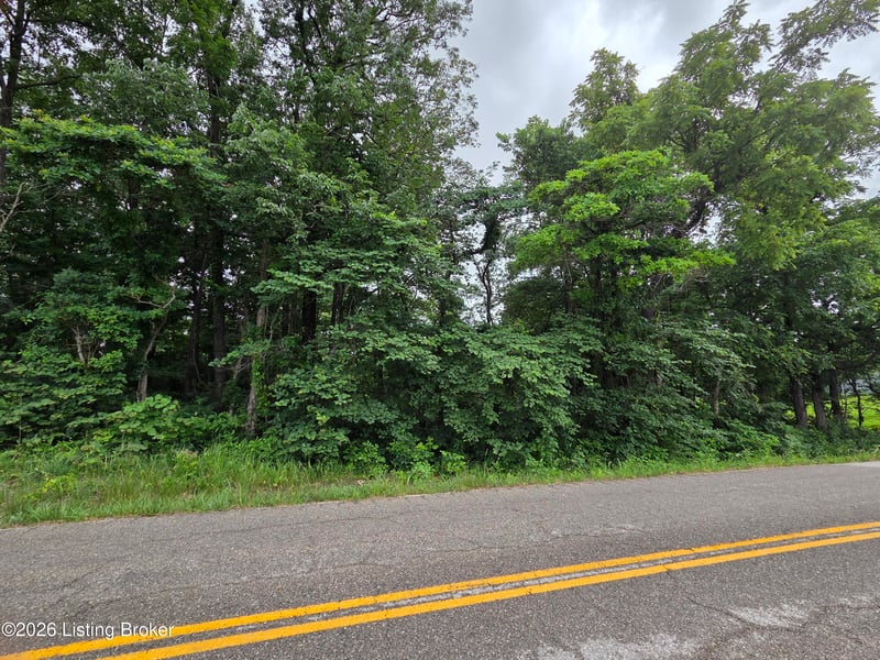 3695 Cedar Flats Rd, Battletown, KY 40104