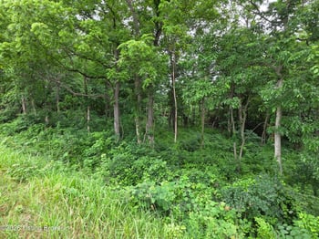 3695 Cedar Flats Rd, Battletown, KY 40104