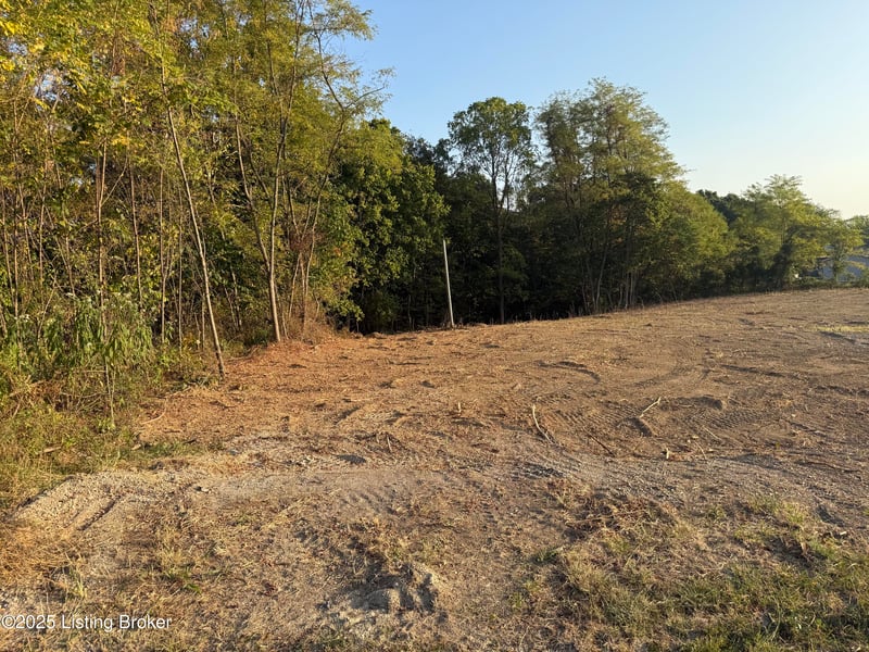 37 Mandy Ct, Pendleton, KY 40055