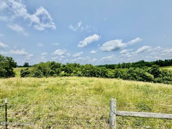 3700 Baker Ridge Rd, Willisburg, KY 40078