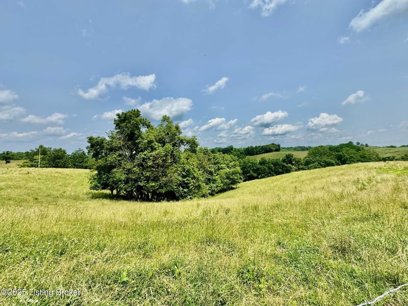 3700 Baker Ridge Rd, Willisburg, KY 40078