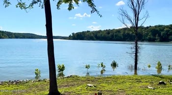 377 Lakeway Dr, Cub Run, KY 42729