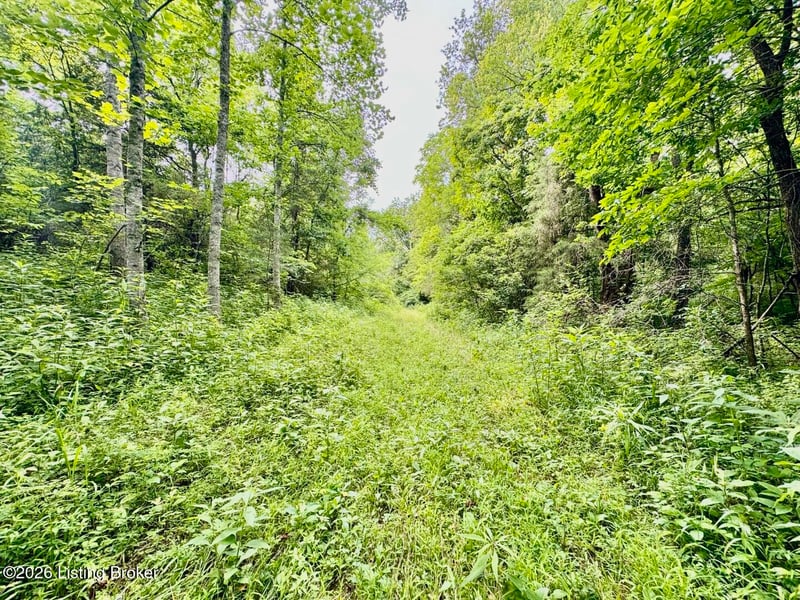 3826-1 Chaplin Rd, Willisburg, KY 40078