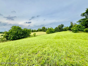 3826-2 Chaplin Rd, Willisburg, KY 40078