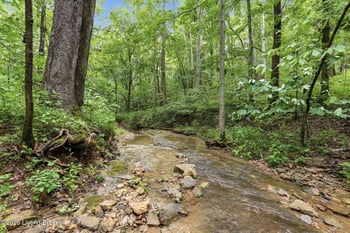 3850 Smith Ln, La Grange, KY 40031