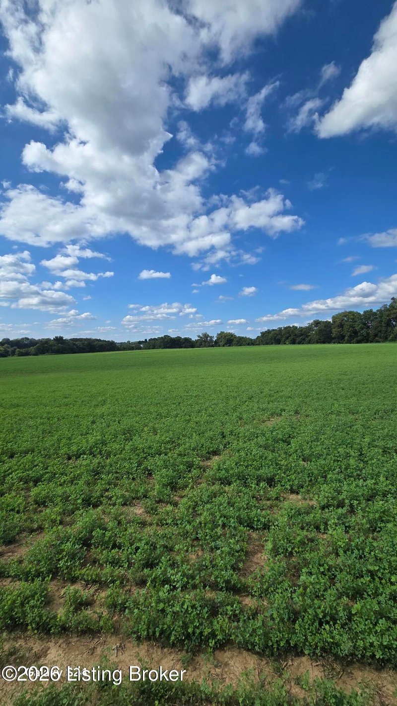 4 Bagdad Rd, Shelbyville, KY 40065