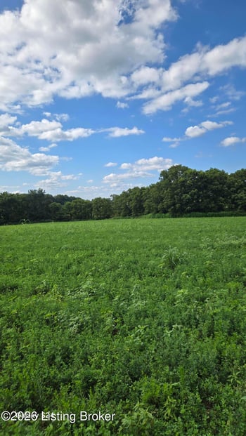 4 Bagdad Rd, Shelbyville, KY 40065