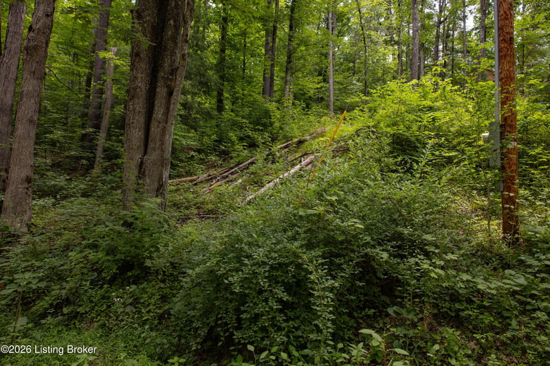 4 Black Bear Ridge Rd, Campton, KY 41301
