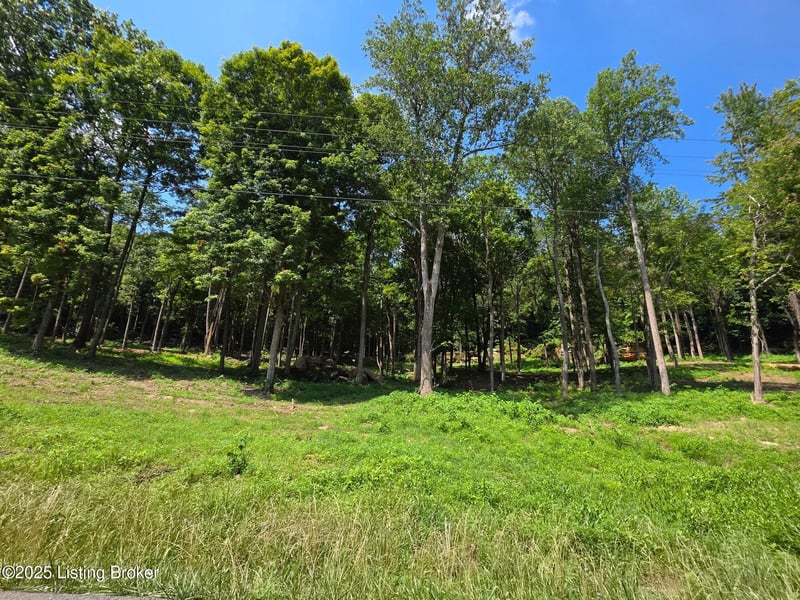 4 Cave Creek Rd, Falls Of Rough, KY 40119