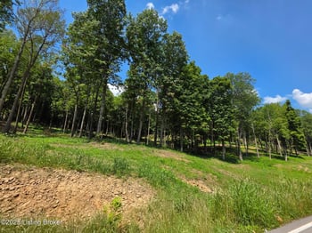 4 Cave Creek Rd, Falls Of Rough, KY 40119