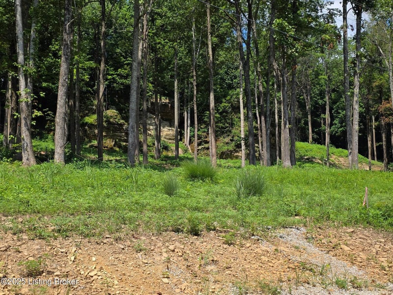 4 Cave Creek Rd, Falls Of Rough, KY 40119