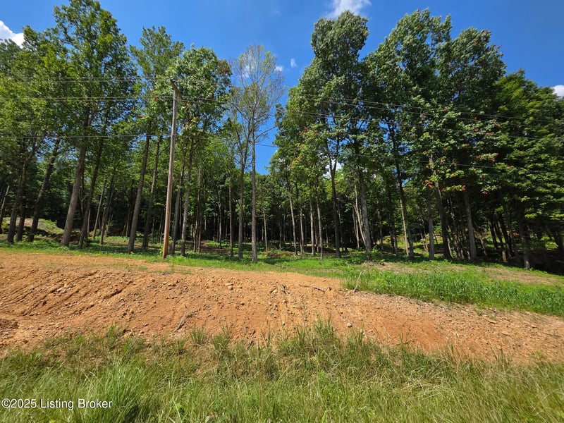 4 Cave Creek Rd, Falls Of Rough, KY 40119