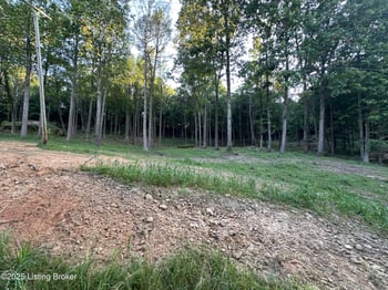 4 Cave Creek Rd, Falls Of Rough, KY 40119