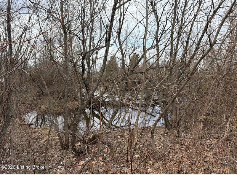 4 Cemetery Hill Rd, Bethlehem, KY 40007