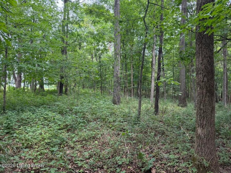 4002 Ky 259, Hardinsburg, KY 40143