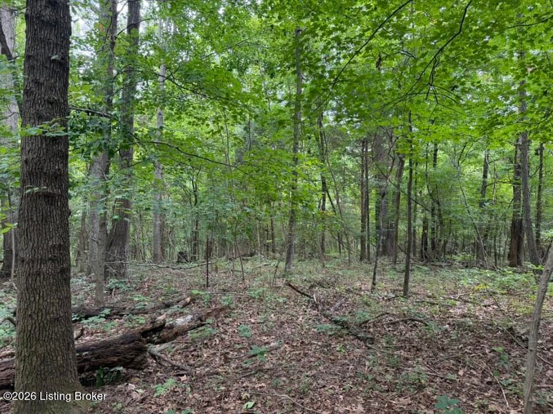 4002 Ky 259, Hardinsburg, KY 40143