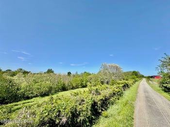 4053 Polin Rd, Willisburg, KY 40078