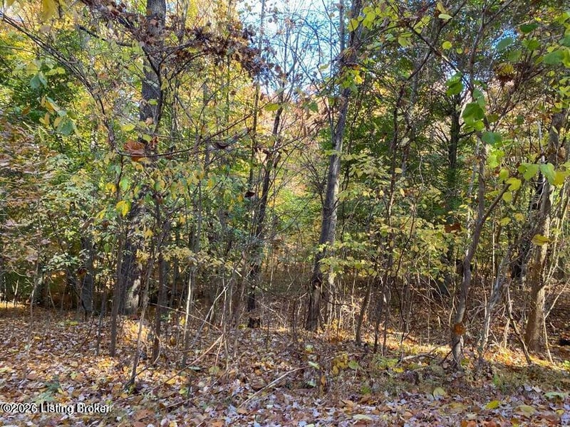 41-5 E Audubon Dr #41-5, Shepherdsville, KY 40165