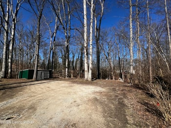 42 Blue Jay Ln, Worthville, KY 41098