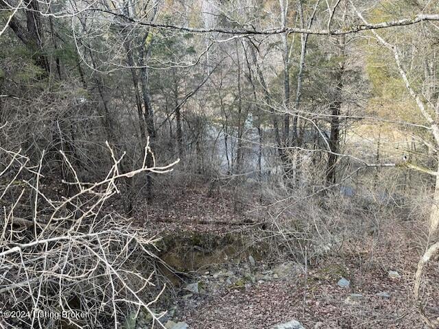 42 Trailwoods Lake Rd, Bagdad, KY 40003