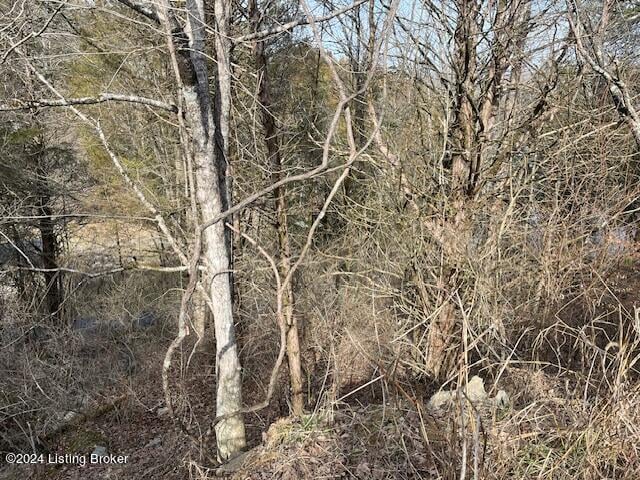 42 Trailwoods Lake Rd, Bagdad, KY 40003