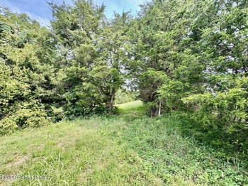 4223 Chaplin Rd, Willisburg, KY 40078
