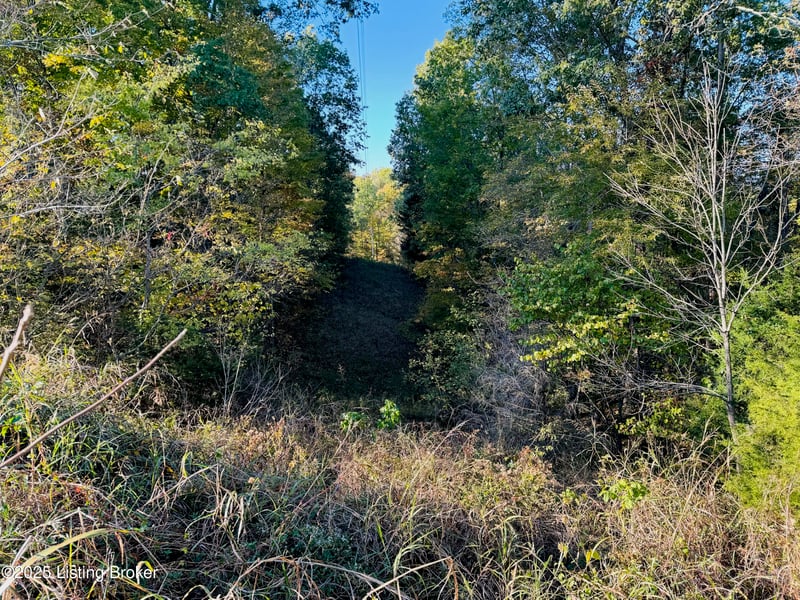 430 Gordon Ford Rd, Willisburg, KY 40078