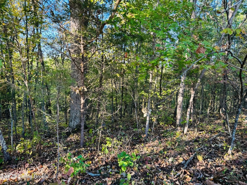 430 Gordon Ford Rd, Willisburg, KY 40078