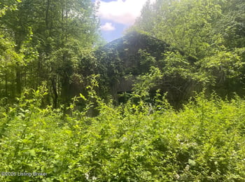 449 Doug Thompson Rd, Lebanon, KY 40033