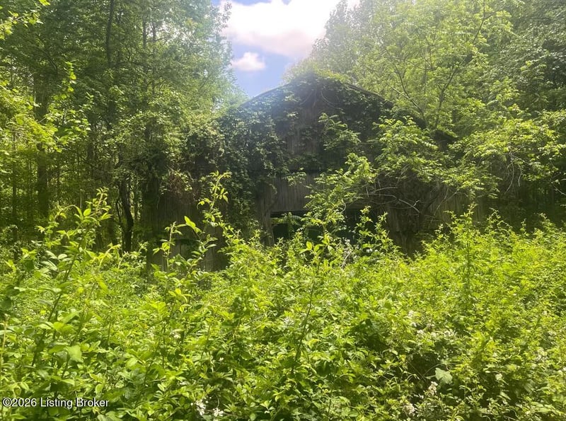 449 Doug Thompson Rd, Lebanon, KY 40033