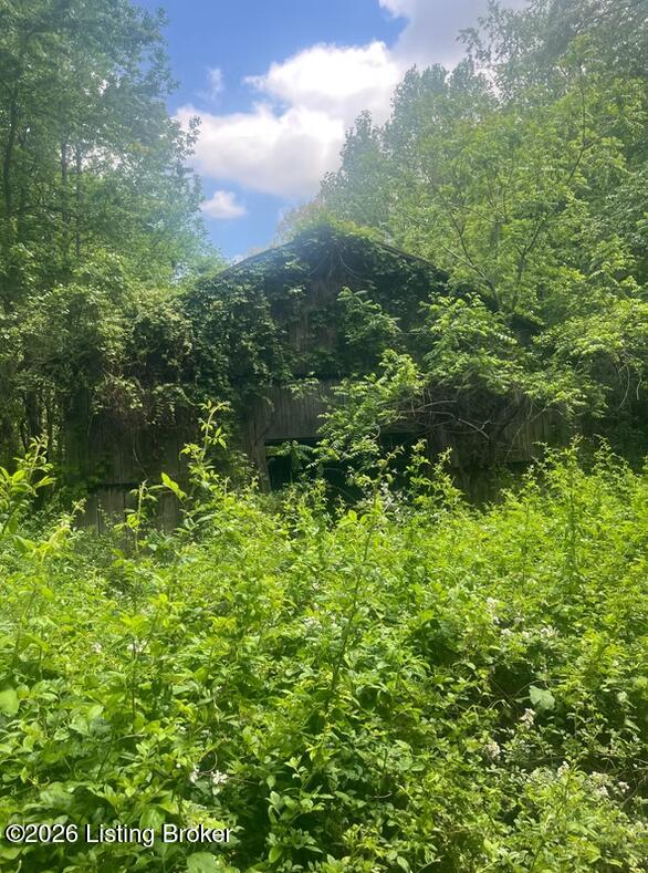 449 Doug Thompson Rd, Lebanon, KY 40033