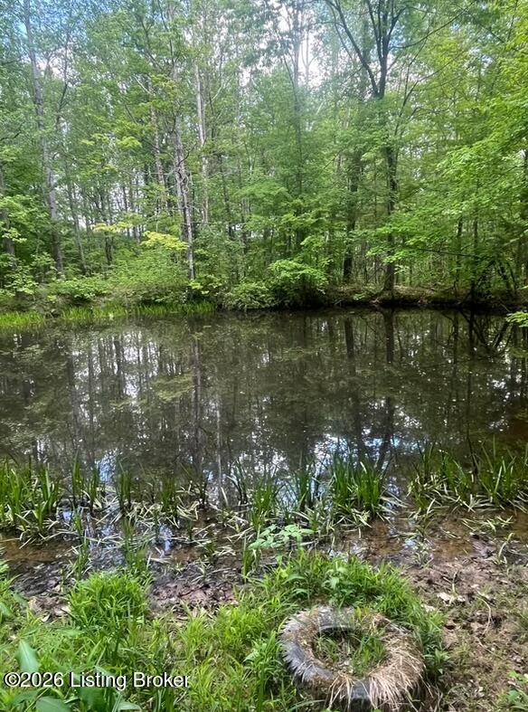 449 Doug Thompson Rd, Lebanon, KY 40033