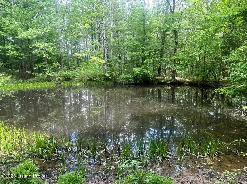 449 Doug Thompson Rd, Lebanon, KY 40033