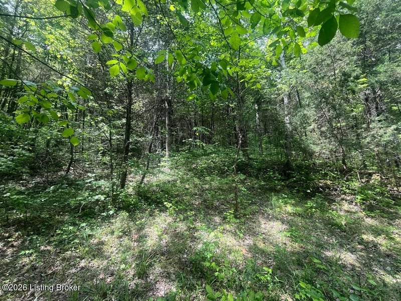 449 Doug Thompson Rd, Lebanon, KY 40033