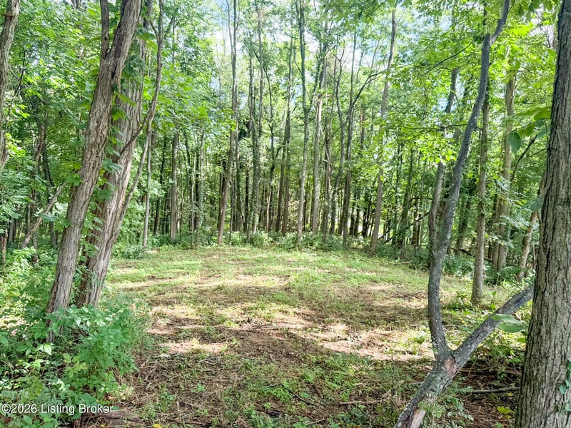46 Boots Ct, Shelbyville, KY 40065