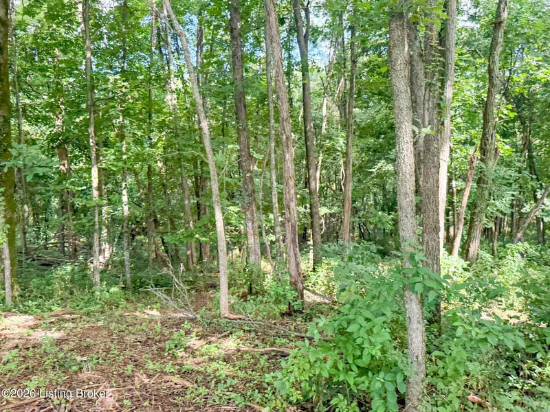 46 Boots Ct, Shelbyville, KY 40065