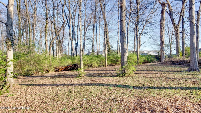 4648 Lor Ann Ave, Louisville, KY 40219