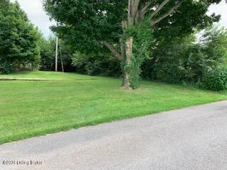 466 Lincoln Ave, Campbellsville, KY 42718