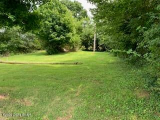 466 Lincoln Ave, Campbellsville, KY 42718