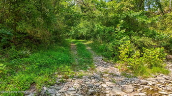47 Highway, Ghent, KY 41045