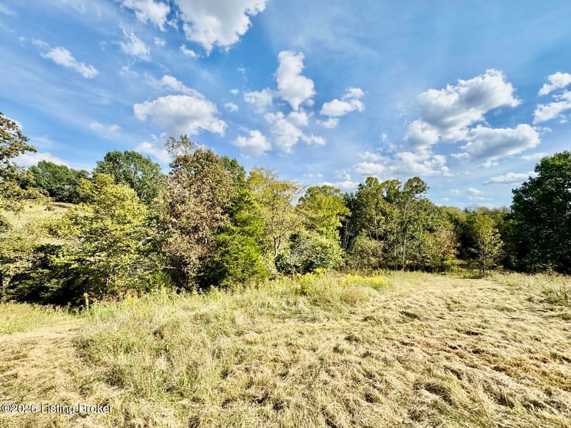 4703 Cissellville Rd, Springfield, KY 40069