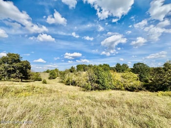 4703 Cissellville Rd, Springfield, KY 40069