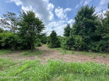 4789 Peck Pike Rd, Milton, KY 40045